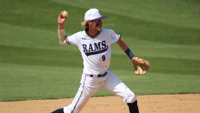 shep baseball